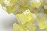 Sulfur Crystals on Fluorescent Aragonite - Italy #208737-2